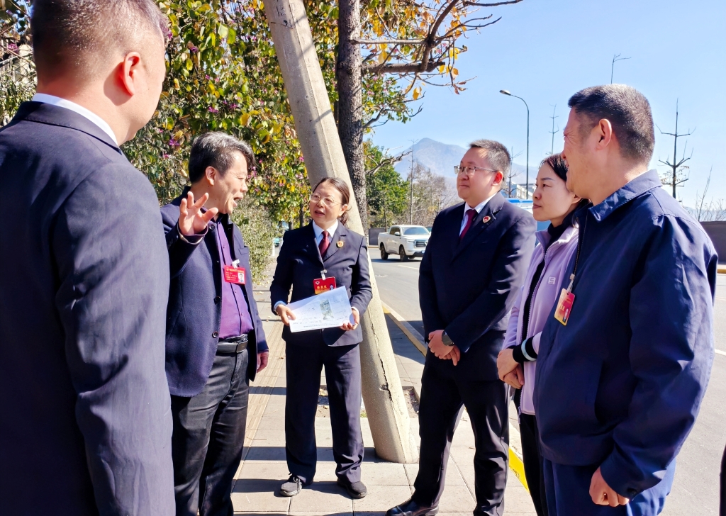 多元监督促整改 清除隐患护民生 ——攀枝花市西区多维发力破解废旧电杆安全难题